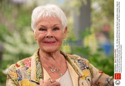 Judy Dench na Chelsea Flower Show