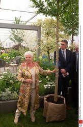 Judy Dench na Chelsea Flower Show