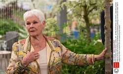 Judy Dench na Chelsea Flower Show