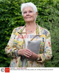 Judy Dench na Chelsea Flower Show