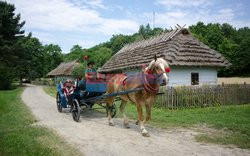 Skanseny Andrzej Zbraniecki