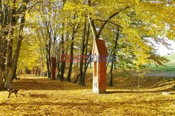 Warmia i Mazury Marek Bazak