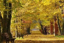 Warmia i Mazury Marek Bazak