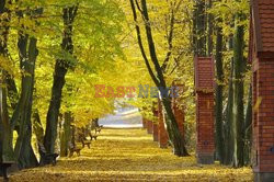 Warmia i Mazury Marek Bazak