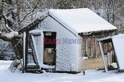 Zdjęcia dekady agencji Press Association