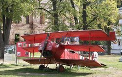 Polska Monk