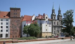 Polska Monk