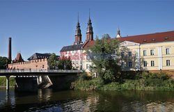 Polska Monk