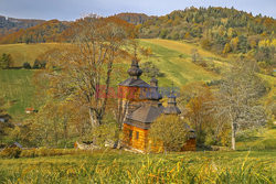 Polska Monk