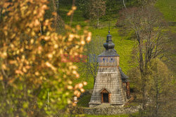 Polska Monk