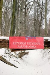 Świętokrzyskie MaZa