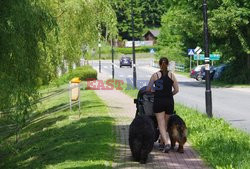 Dolnośląskie MaBa