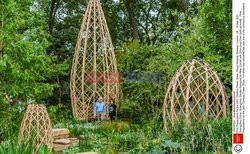 Przygotowania do Chelsea Flower Show 2021