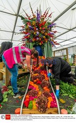 Przygotowania do Chelsea Flower Show 2021