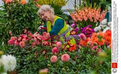 Przygotowania do Chelsea Flower Show 2021