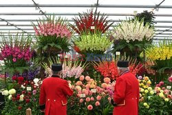 Przygotowania do Chelsea Flower Show 2021