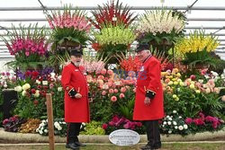 Przygotowania do Chelsea Flower Show 2021