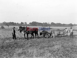 Bridgeman - fotografia archiwalna