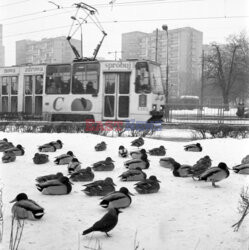 Warszawa wczoraj i dziś