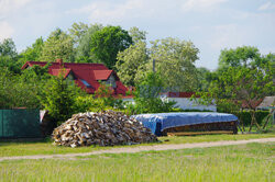 Wielkopolska Marek Bazak