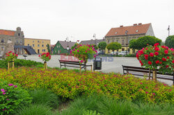 Wielkopolska Marek Bazak