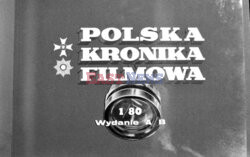 Polska Kronika Filmowa