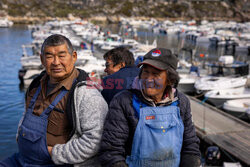 Grenlandia - AFP