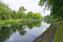 Wielkopolska Marek Bazak