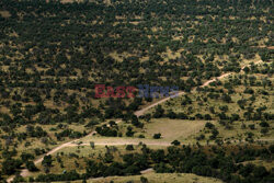 Mur na granicy USA z Meksykiem - AFP