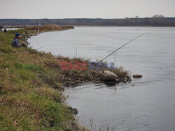 Polska Andrzej Zbraniecki