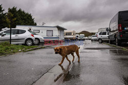 Francuscy travellersi - AFP