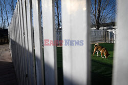 Hotel dla psów w Pekinie - AFP