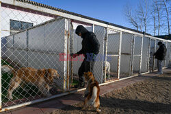 Hotel dla psów w Pekinie - AFP