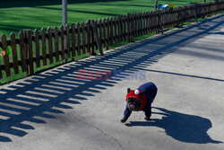 Hotel dla psów w Pekinie - AFP