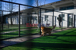 Hotel dla psów w Pekinie - AFP