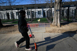 Hotel dla psów w Pekinie - AFP