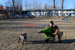 Hotel dla psów w Pekinie - AFP