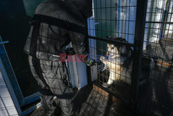 Hotel dla psów w Pekinie - AFP