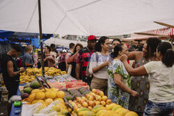 Slumsy w Rio de Janeiro - Agence VU