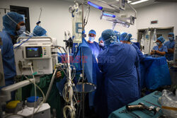 Transplantologia we Francji - AFP