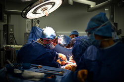 Transplantologia we Francji - AFP