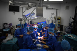 Transplantologia we Francji - AFP