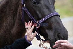 Klacz pomaga seniorom w domu opieki - AFP