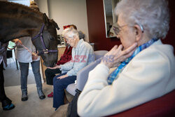 Klacz pomaga seniorom w domu opieki - AFP