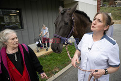 Klacz pomaga seniorom w domu opieki - AFP