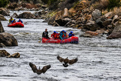 Rafting na rzece Arkansas