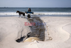 Zatoka Hann w Senegalu zamieniona w wysypisko - AFP