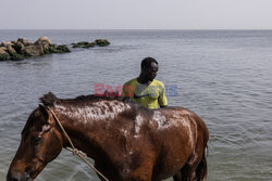 Zatoka Hann w Senegalu zamieniona w wysypisko - AFP