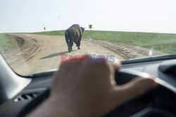 Park Narodowy Badlands w USA - Redux