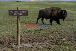 Park Narodowy Badlands w USA - Redux